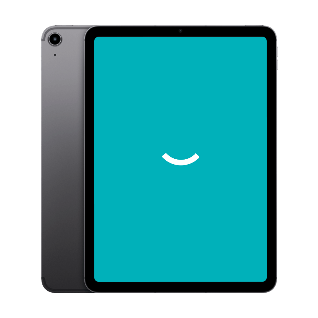 iPad Air 5 - 256 Go - 5G - Gris