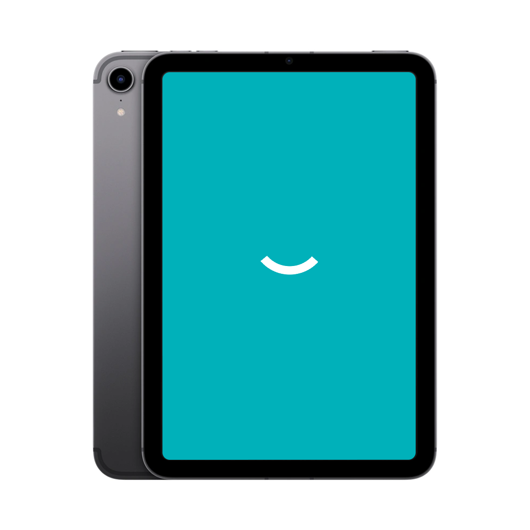 iPad Mini 6 - 64 Go - Wi-Fi + 5G - Gris