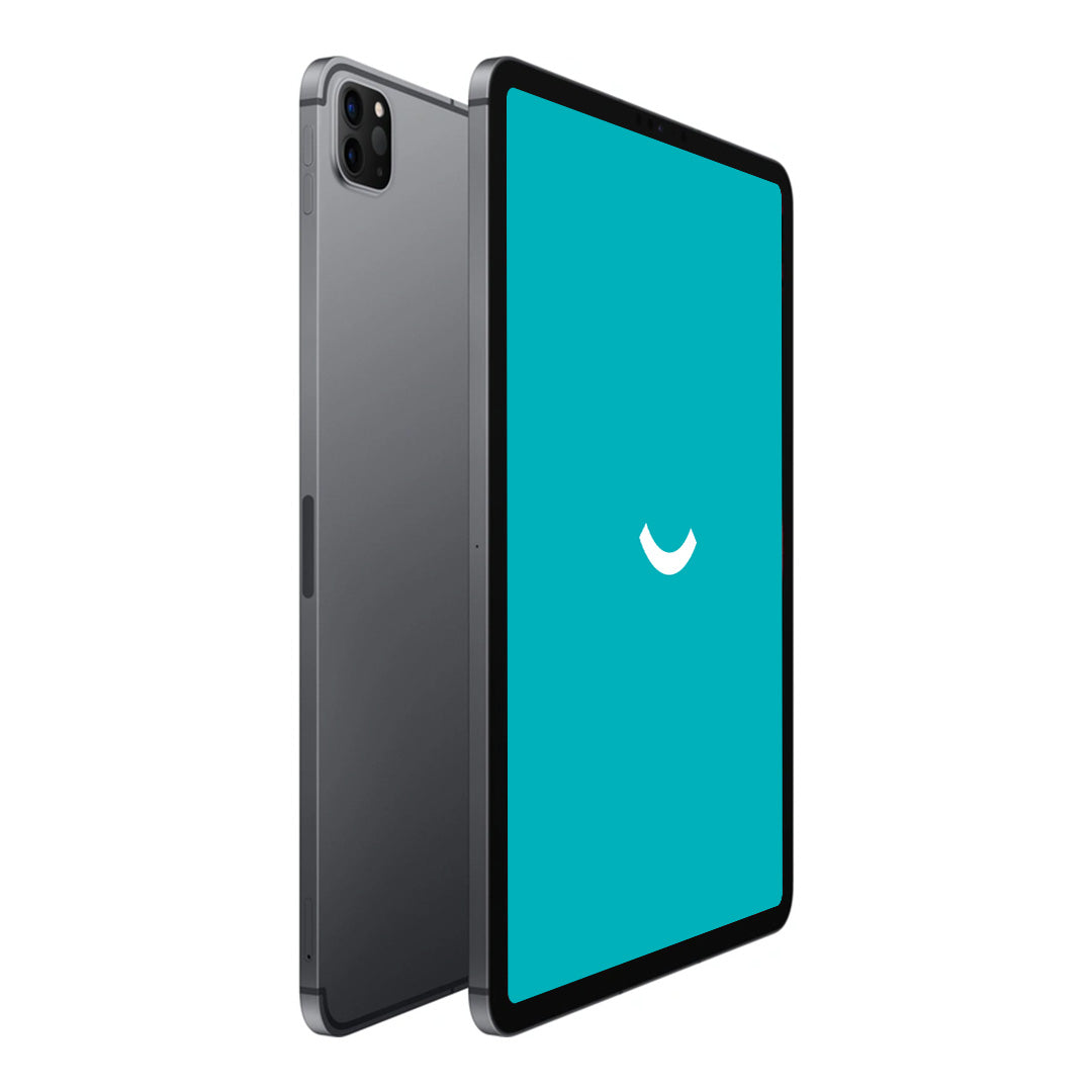 iPad Pro 3 - 11" - 256 Go - 5G - Gris sidéral