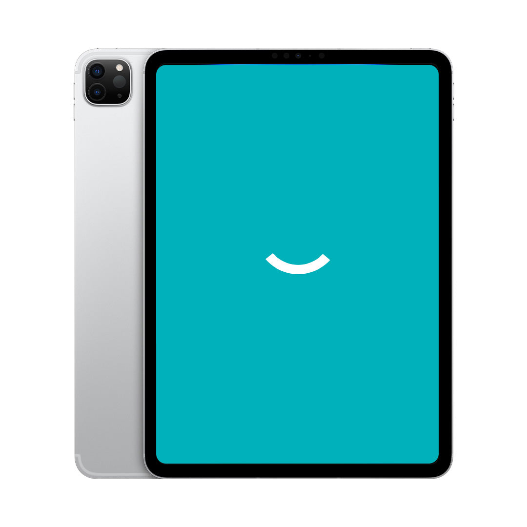 iPad Pro 11" 4th Gen (2022) | 256GB | Wi-Fi + 5G | Silver