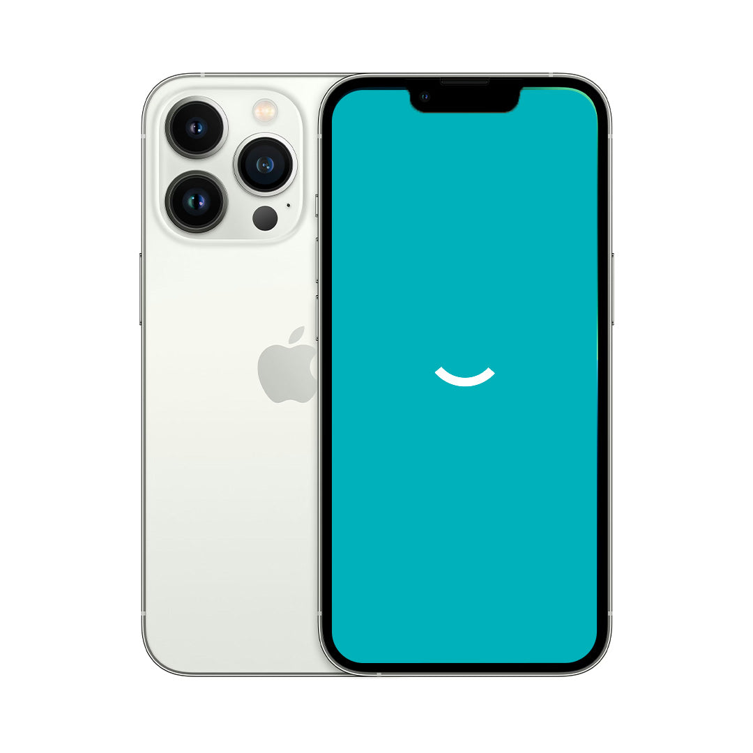 iPhone 13 Pro | 128GB | Zilver | Simlockvrij