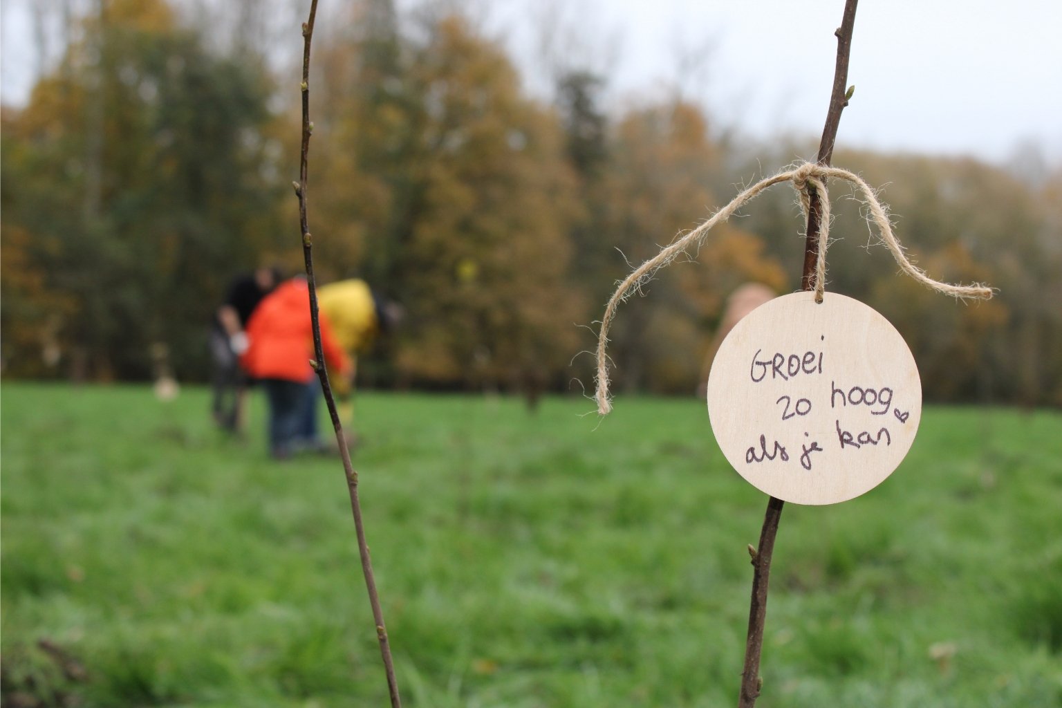 Maak jouw transport klimaatneutraal: Plant 5m² bos met Back in Use! - Back in Use