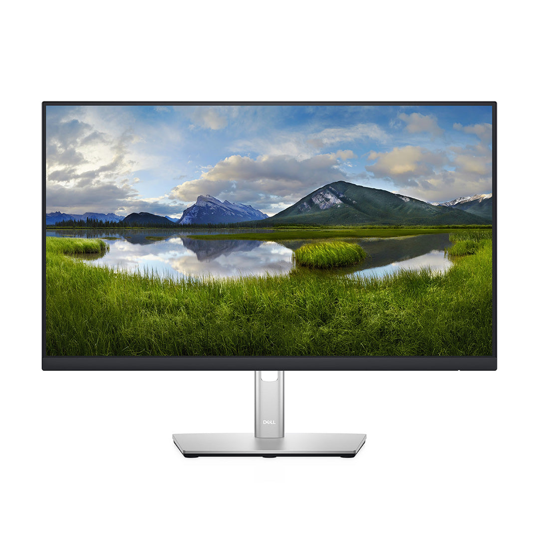 Dell P2422H | 23.8" | 1920x1080 (FHD)