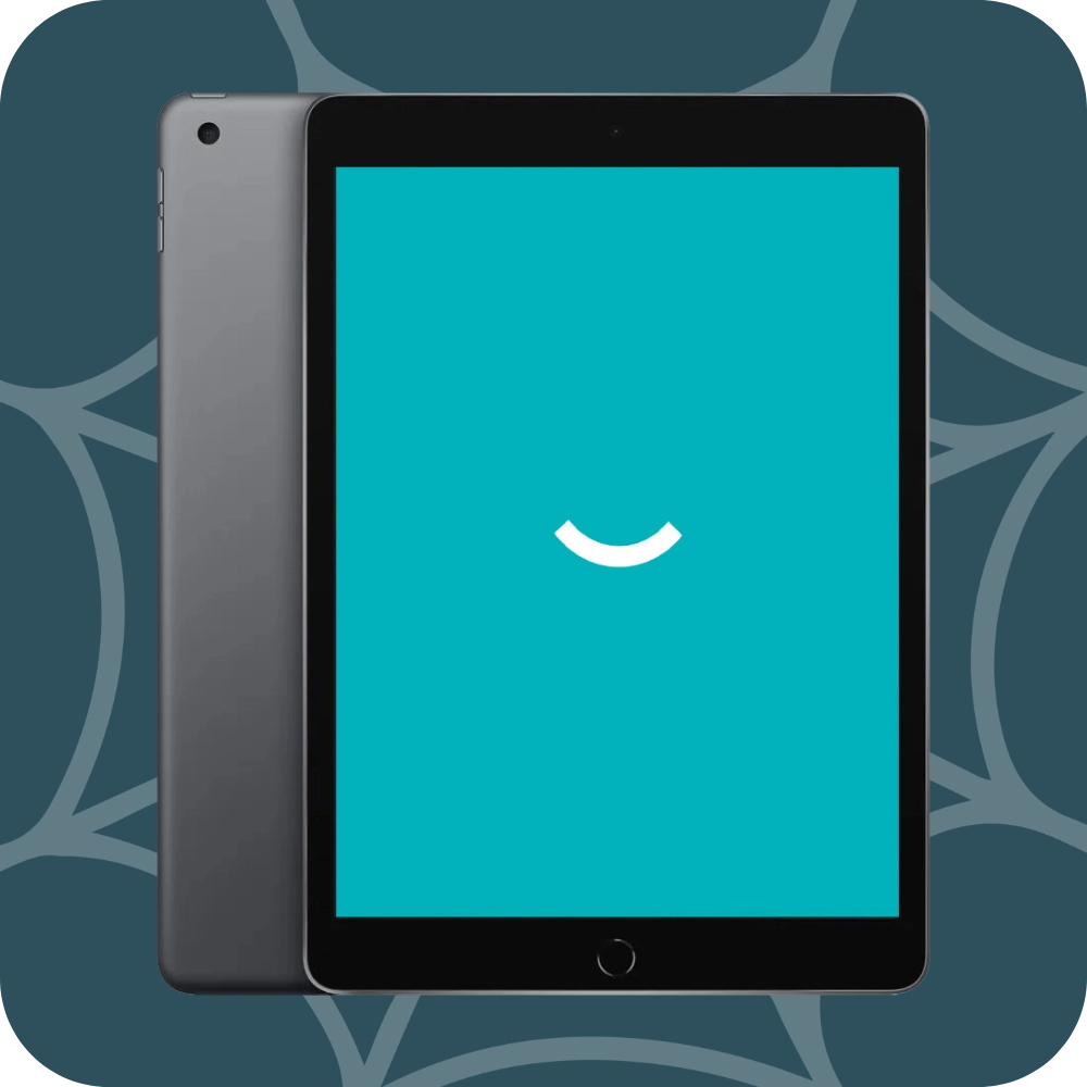iPad 9 - 256GB - Wi-Fi - Gray