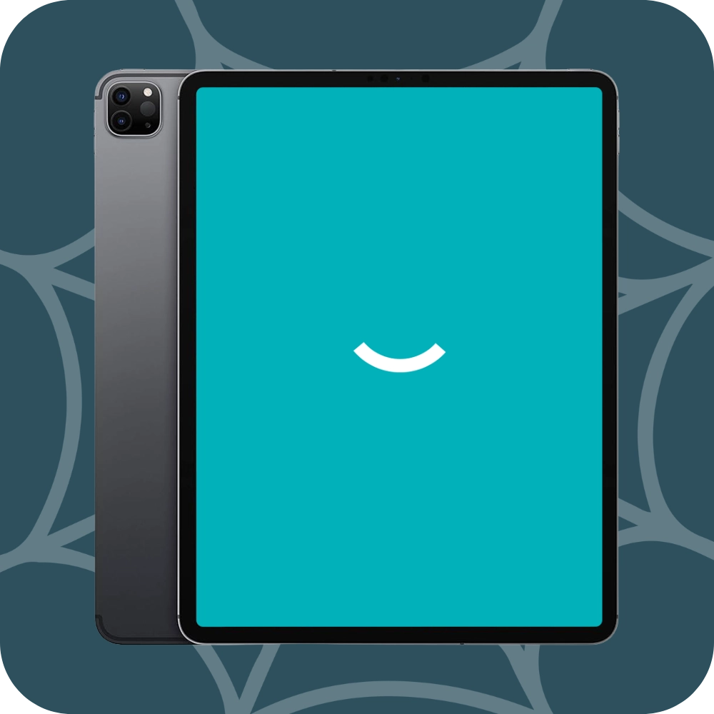 iPad Pro (2020) | 12.9" | 256GB | 4G | Grijs